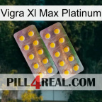 Vigra Xl Max Platinum new10